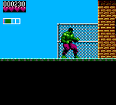 Incredible Hulk The Incredible Hulk The