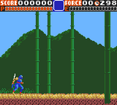 Ninja Gaiden Ninja Gaiden